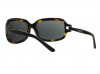 Just Cavalli 272 JC272S 52F Tortoise Sunglasses